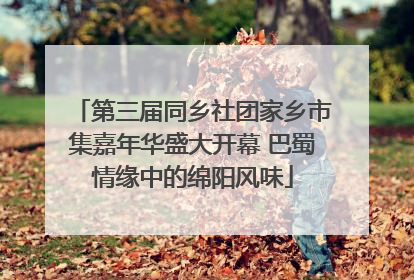 第三届同乡社团家乡市集嘉年华盛大开幕 巴蜀情缘中的绵阳风味