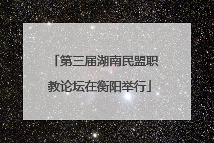 第三届湖南民盟职教论坛在衡阳举行