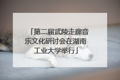 第二届武陵走廊音乐文化研讨会在湖南工业大学举行