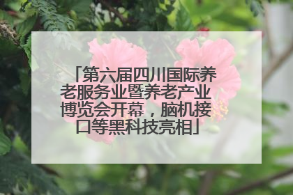 第六届四川国际养老服务业暨养老产业博览会开幕，脑机接口等黑科技亮相