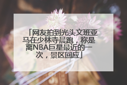 网友拍到光头文班亚马在少林寺晨跑，称是离NBA巨星最近的一次，景区回应