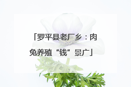 罗平县老厂乡：肉兔养殖“钱”景广