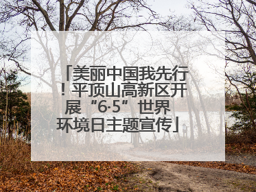 美丽中国我先行！平顶山高新区开展“6·5”世界环境日主题宣传