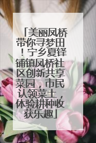 美丽凤桥带你寻梦田！宁乡夏铎铺镇凤桥社区创新共享菜园，市民认领菜土，体验耕种收获乐趣