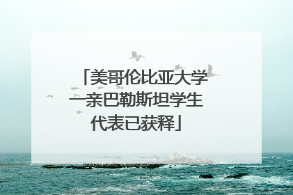 美哥伦比亚大学一亲巴勒斯坦学生代表已获释