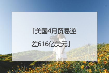 美国4月贸易逆差616亿美元
