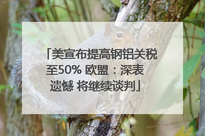 美宣布提高钢铝关税至50% 欧盟：深表遗憾 将继续谈判