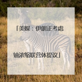 美媒：伊朗正考虑铀浓缩联营体提议