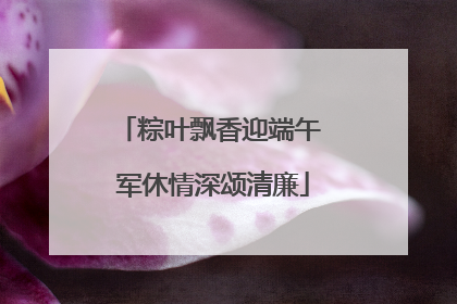 粽叶飘香迎端午 军休情深颂清廉