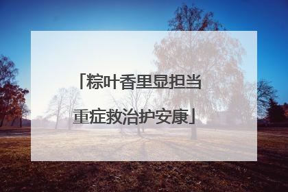 粽叶香里显担当 重症救治护安康