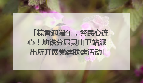粽香迎端午，警民心连心！地铁分局灵山卫站派出所开展党建联建活动