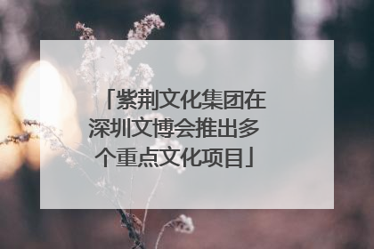 紫荆文化集团在深圳文博会推出多个重点文化项目