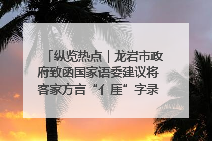 纵览热点｜龙岩市政府致函国家语委建议将客家方言“亻厓”字录入《新华字典》引发热议，当地回应