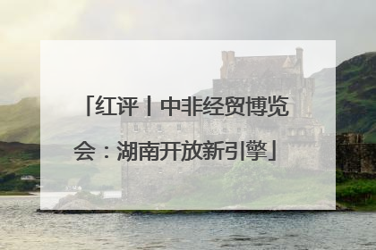 红评丨中非经贸博览会：湖南开放新引擎