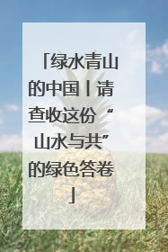 绿水青山的中国丨请查收这份“山水与共”的绿色答卷