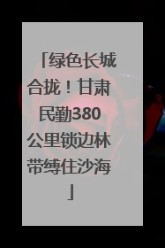 绿色长城合拢！甘肃民勤380公里锁边林带缚住沙海