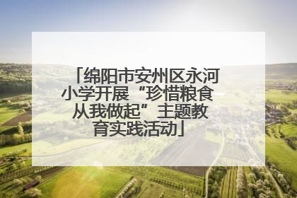 绵阳市安州区永河小学开展“珍惜粮食 从我做起”主题教育实践活动