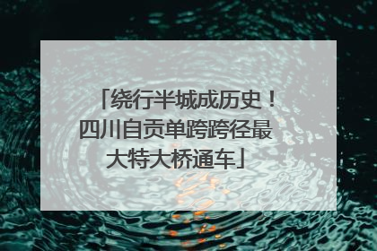 绕行半城成历史！四川自贡单跨跨径最大特大桥通车
