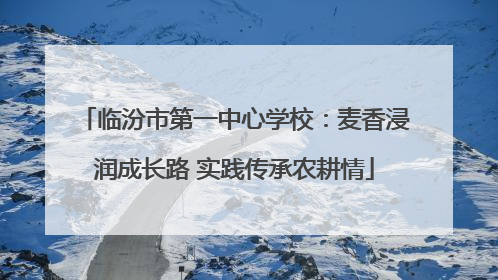 临汾市第一中心学校：麦香浸润成长路 实践传承农耕情