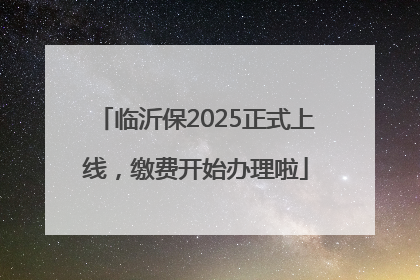 临沂保2025正式上线，缴费开始办理啦