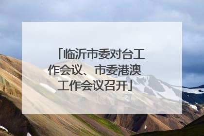 临沂市委对台工作会议、市委港澳工作会议召开
