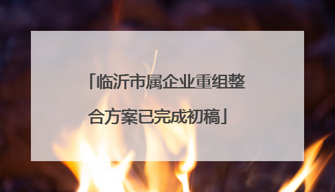 临沂市属企业重组整合方案已完成初稿