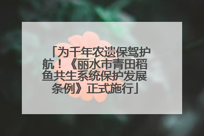 为千年农遗保驾护航！《丽水市青田稻鱼共生系统保护发展条例》正式施行