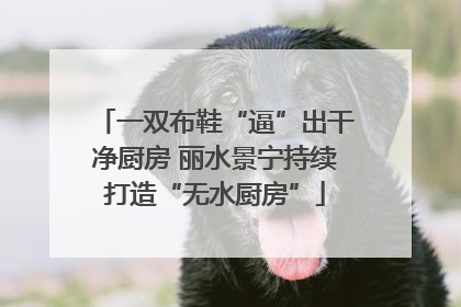 一双布鞋“逼”出干净厨房 丽水景宁持续打造“无水厨房”