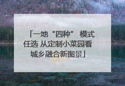 一地“四种” 模式任选 从定制小菜园看城乡融合新图景