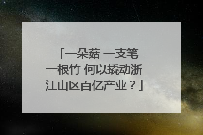 一朵菇 一支笔 一根竹 何以撬动浙江山区百亿产业？
