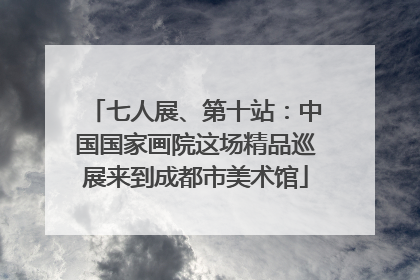 七人展、第十站：中国国家画院这场精品巡展来到成都市美术馆