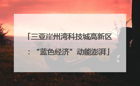 三亚崖州湾科技城高新区：“蓝色经济”动能澎湃