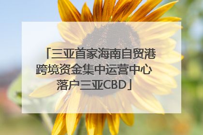 三亚首家海南自贸港跨境资金集中运营中心落户三亚CBD