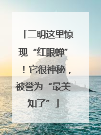 三明这里惊现“红眼蝉”！它很神秘，被誉为“最美知了”