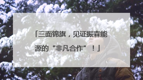 三面锦旗，见证振森能源的“非凡合作”！
