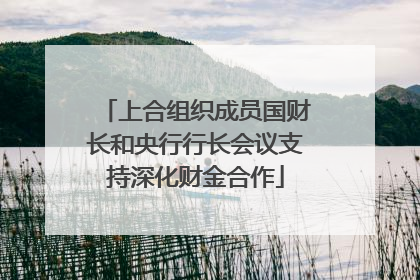 上合组织成员国财长和央行行长会议支持深化财金合作