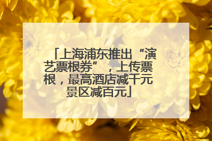 上海浦东推出“演艺票根券”，上传票根，最高酒店减千元景区减百元
