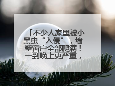 不少人家里被小黑虫“入侵”，墙壁窗户全部爬满！一到晚上更严重，还有一股臭味