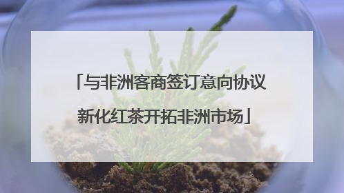 与非洲客商签订意向协议 新化红茶开拓非洲市场