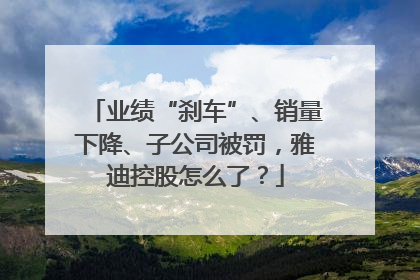 业绩“刹车”、销量下降、子公司被罚，雅迪控股怎么了？