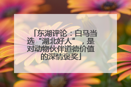 东湖评论：白马当选“湖北好人”，是对动物伙伴道德价值的深情褒奖
