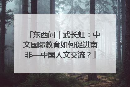 东西问｜武长虹：中文国际教育如何促进南非—中国人文交流？