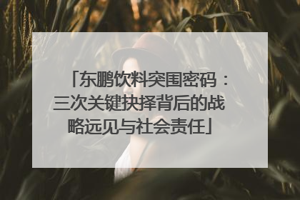 东鹏饮料突围密码：三次关键抉择背后的战略远见与社会责任