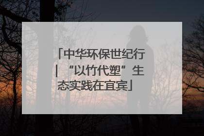 中华环保世纪行｜“以竹代塑”生态实践在宜宾