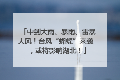 中到大雨、暴雨、雷暴大风！台风“蝴蝶”来袭，或将影响湖北！