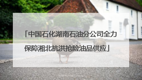 中国石化湖南石油分公司全力保障湘北抗洪抢险油品供应