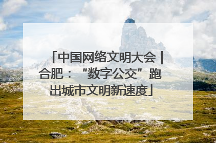 中国网络文明大会｜合肥：“数字公交”跑出城市文明新速度