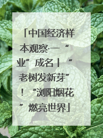 中国经济样本观察·一“业”成名丨“老树发新芽”！“浏阳烟花”燃亮世界