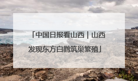 中国日报看山西｜山西发现东方白鹳筑巢繁殖