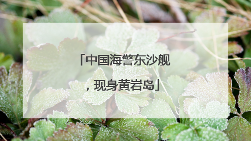中国海警东沙舰，现身黄岩岛